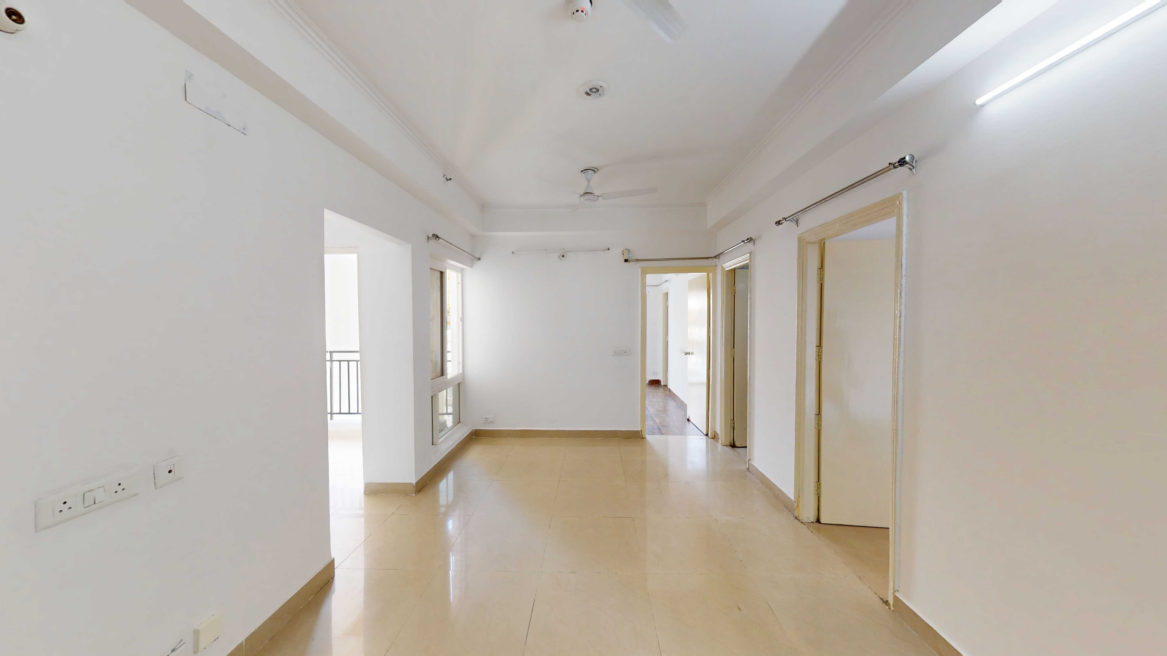 1747123867036-Saviour Greenarch (1).jpg